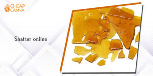 How Shatter Compares to Other Concentrates?